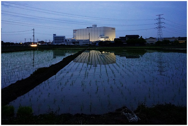 白い建物